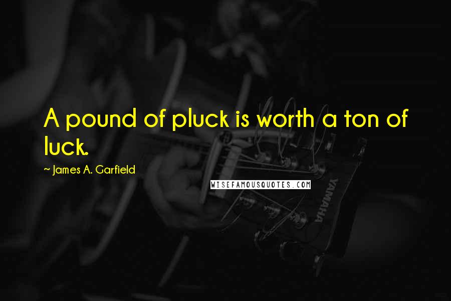 James A. Garfield Quotes: A pound of pluck is worth a ton of luck.