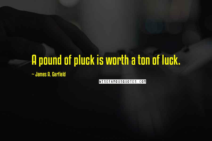 James A. Garfield Quotes: A pound of pluck is worth a ton of luck.