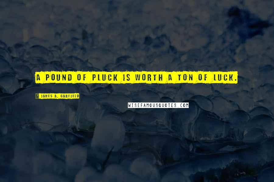 James A. Garfield Quotes: A pound of pluck is worth a ton of luck.