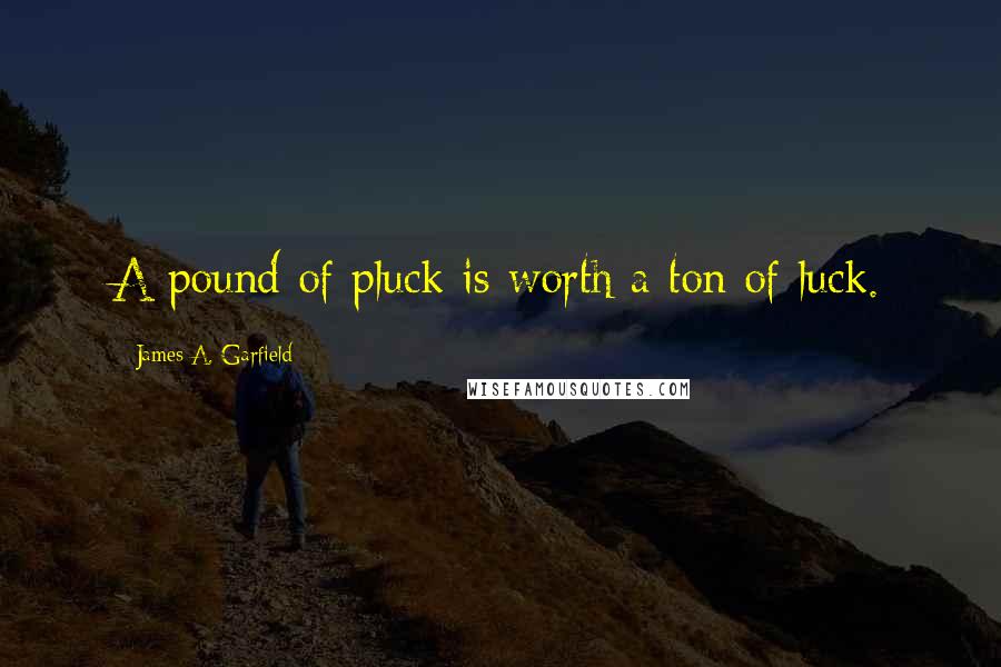 James A. Garfield Quotes: A pound of pluck is worth a ton of luck.