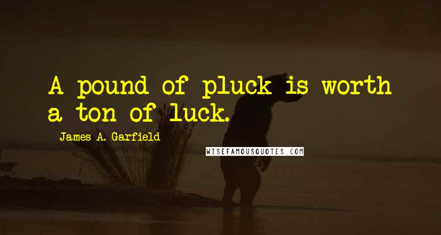 James A. Garfield Quotes: A pound of pluck is worth a ton of luck.