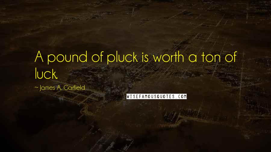 James A. Garfield Quotes: A pound of pluck is worth a ton of luck.