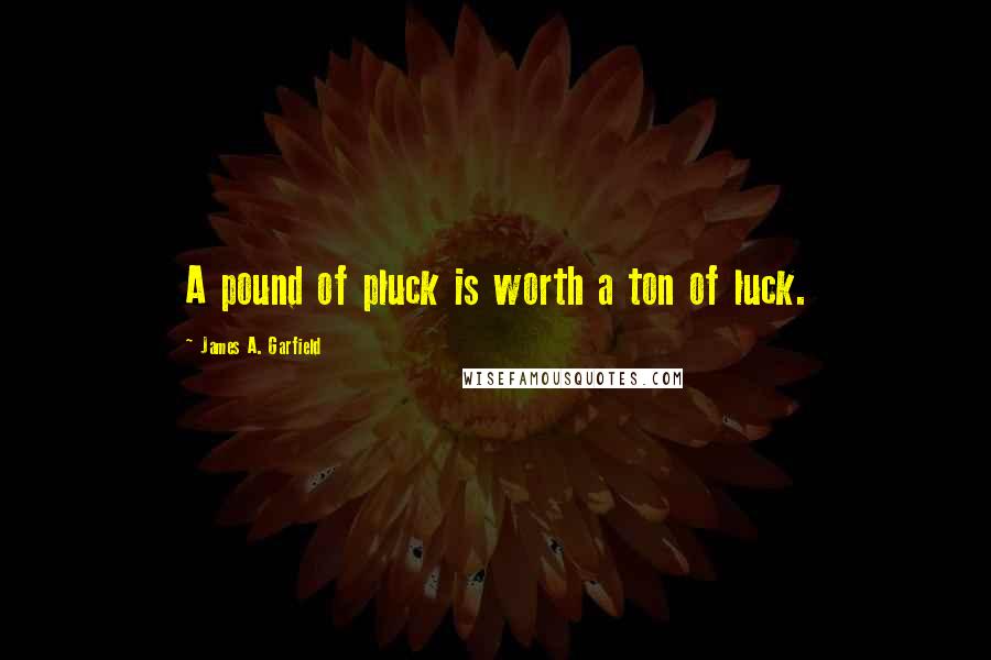 James A. Garfield Quotes: A pound of pluck is worth a ton of luck.