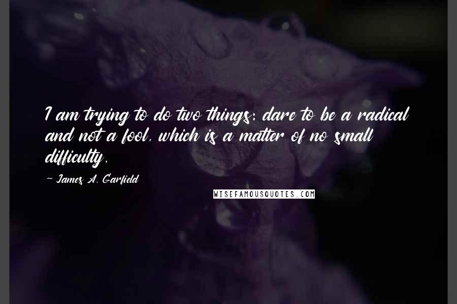 James A. Garfield Quotes: I am trying to do two things: dare to be a radical and not a fool, which is a matter of no small difficulty.