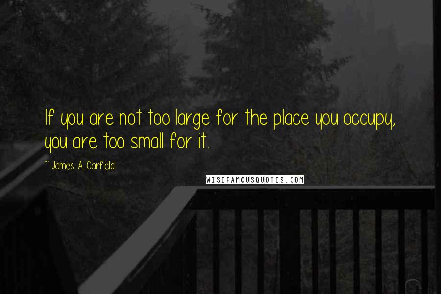 James A. Garfield Quotes: If you are not too large for the place you occupy, you are too small for it.