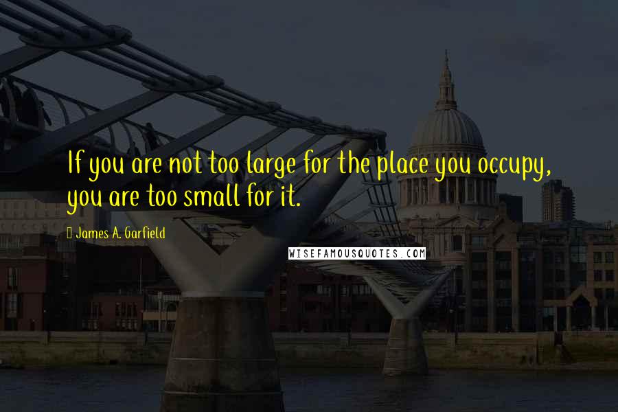James A. Garfield Quotes: If you are not too large for the place you occupy, you are too small for it.