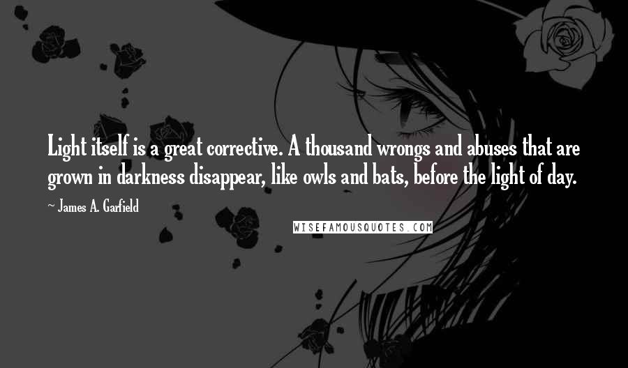 James A. Garfield Quotes: Light itself is a great corrective. A thousand wrongs and abuses that are grown in darkness disappear, like owls and bats, before the light of day.