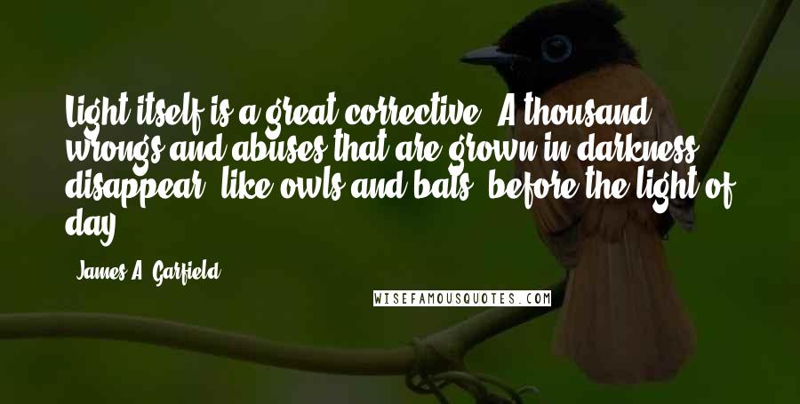 James A. Garfield Quotes: Light itself is a great corrective. A thousand wrongs and abuses that are grown in darkness disappear, like owls and bats, before the light of day.