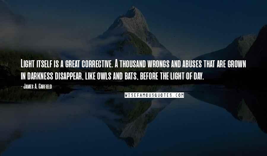 James A. Garfield Quotes: Light itself is a great corrective. A thousand wrongs and abuses that are grown in darkness disappear, like owls and bats, before the light of day.