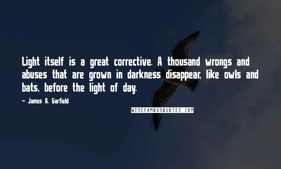 James A. Garfield Quotes: Light itself is a great corrective. A thousand wrongs and abuses that are grown in darkness disappear, like owls and bats, before the light of day.