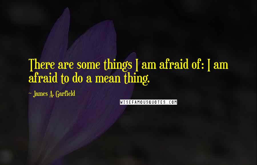 James A. Garfield Quotes: There are some things I am afraid of: I am afraid to do a mean thing.