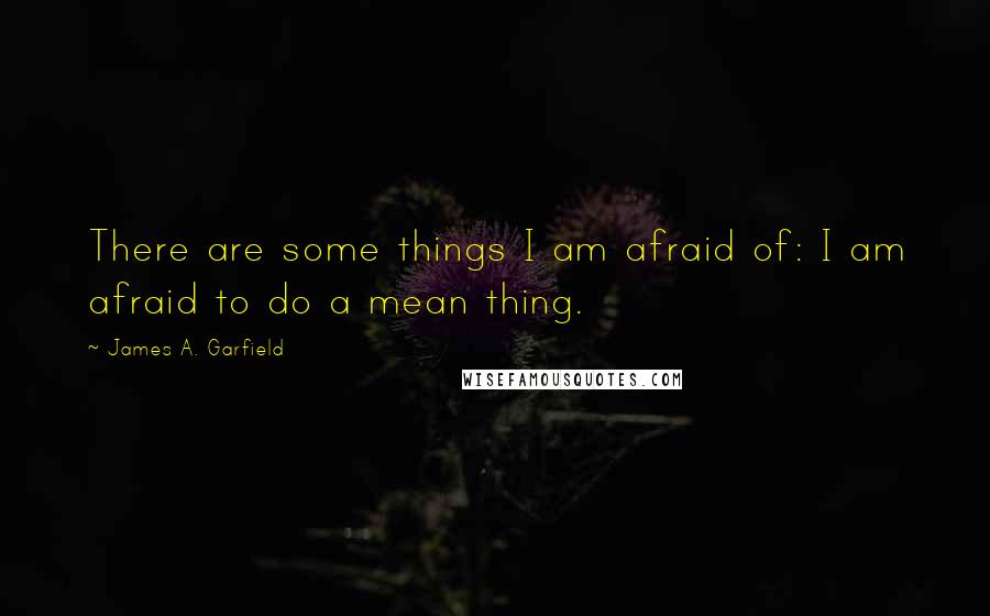 James A. Garfield Quotes: There are some things I am afraid of: I am afraid to do a mean thing.