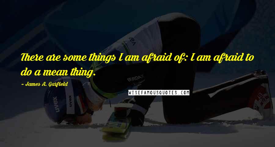 James A. Garfield Quotes: There are some things I am afraid of: I am afraid to do a mean thing.