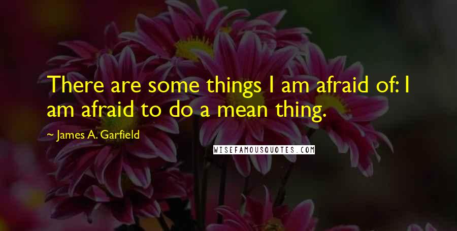 James A. Garfield Quotes: There are some things I am afraid of: I am afraid to do a mean thing.