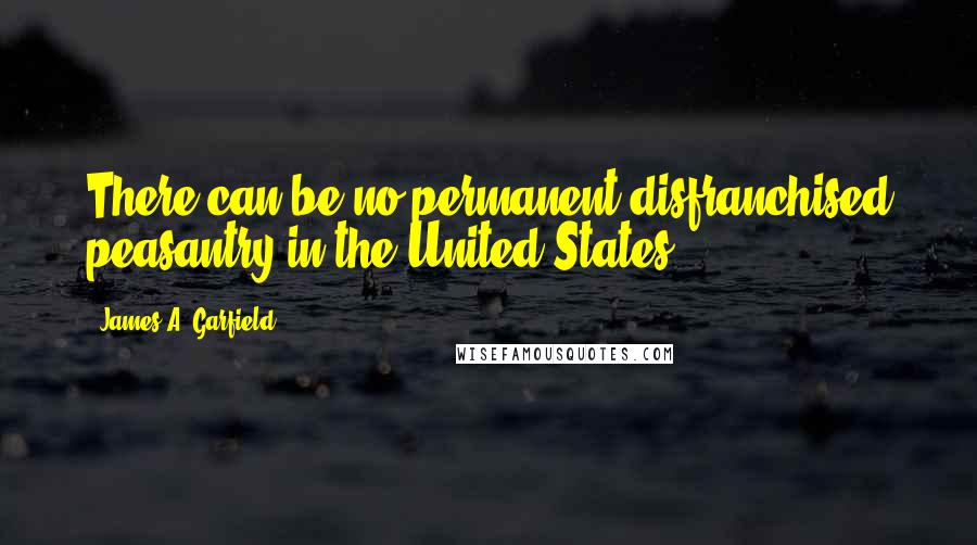 James A. Garfield Quotes: There can be no permanent disfranchised peasantry in the United States.