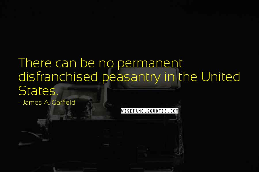 James A. Garfield Quotes: There can be no permanent disfranchised peasantry in the United States.