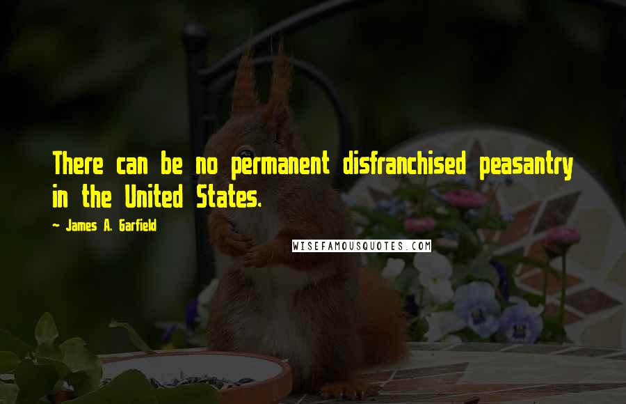 James A. Garfield Quotes: There can be no permanent disfranchised peasantry in the United States.