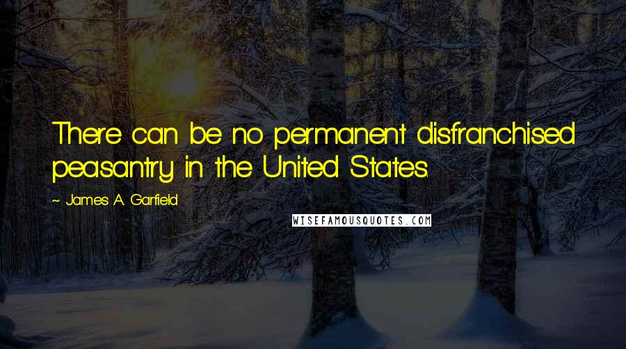 James A. Garfield Quotes: There can be no permanent disfranchised peasantry in the United States.