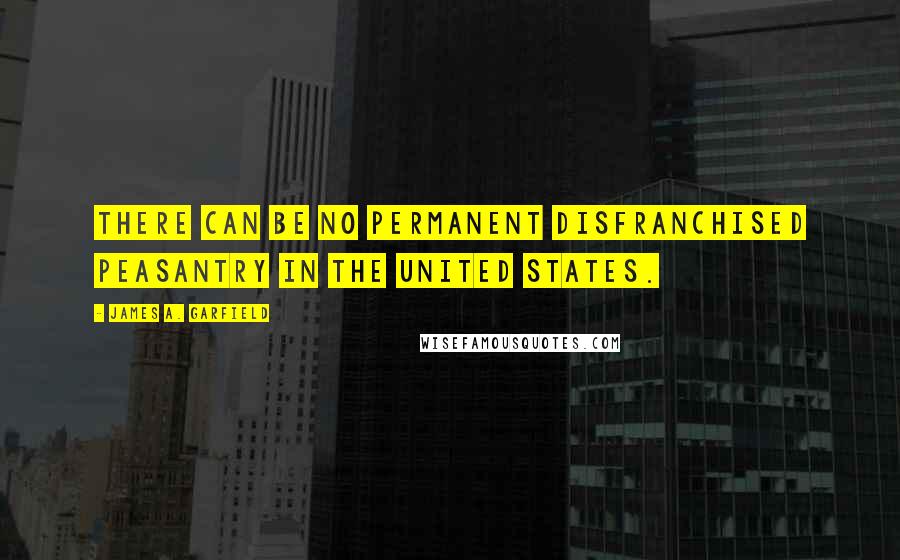 James A. Garfield Quotes: There can be no permanent disfranchised peasantry in the United States.