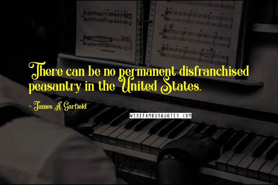 James A. Garfield Quotes: There can be no permanent disfranchised peasantry in the United States.