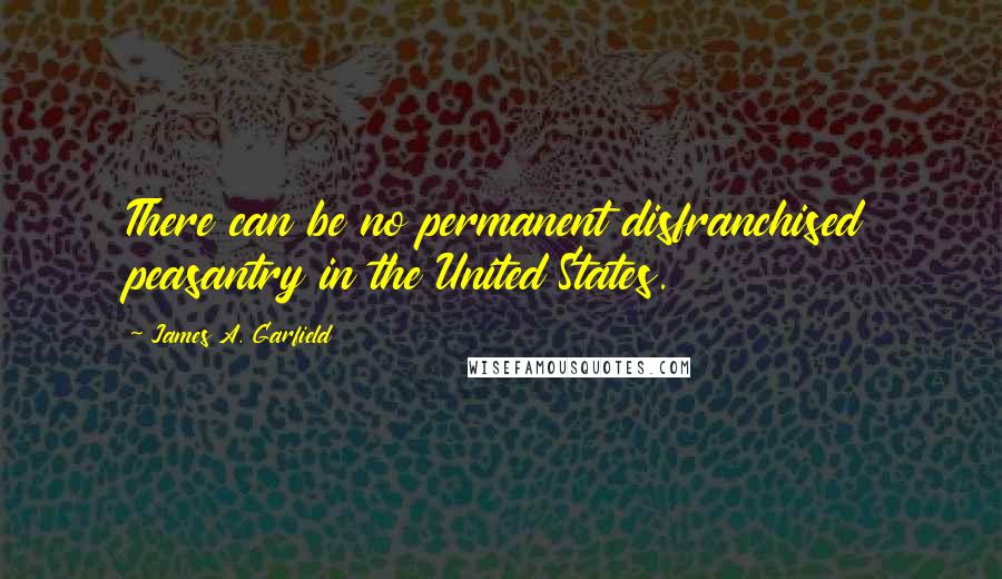 James A. Garfield Quotes: There can be no permanent disfranchised peasantry in the United States.