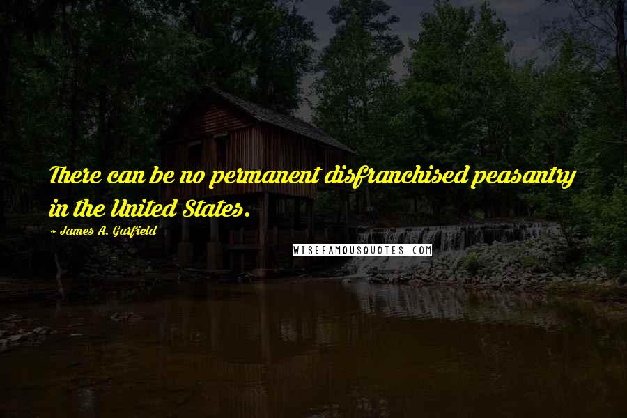 James A. Garfield Quotes: There can be no permanent disfranchised peasantry in the United States.