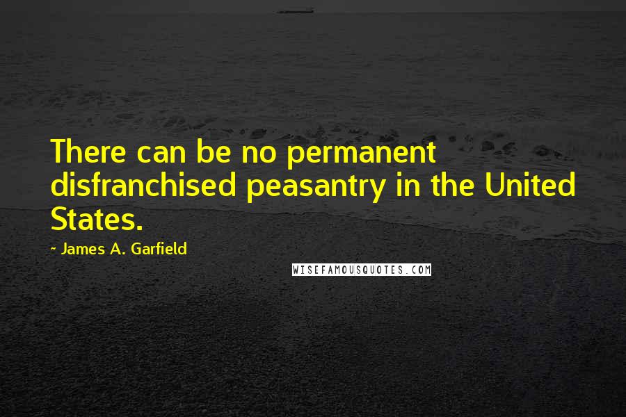 James A. Garfield Quotes: There can be no permanent disfranchised peasantry in the United States.