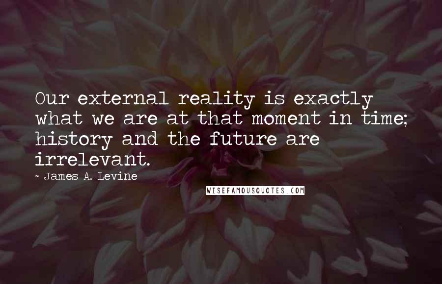 James A. Levine Quotes: Our external reality is exactly what we are at that moment in time; history and the future are irrelevant.