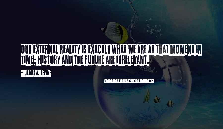 James A. Levine Quotes: Our external reality is exactly what we are at that moment in time; history and the future are irrelevant.