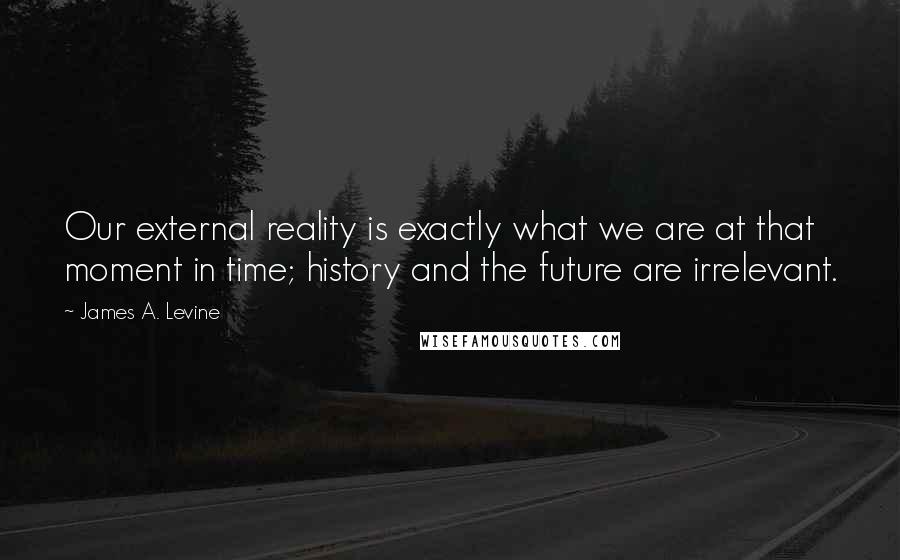 James A. Levine Quotes: Our external reality is exactly what we are at that moment in time; history and the future are irrelevant.