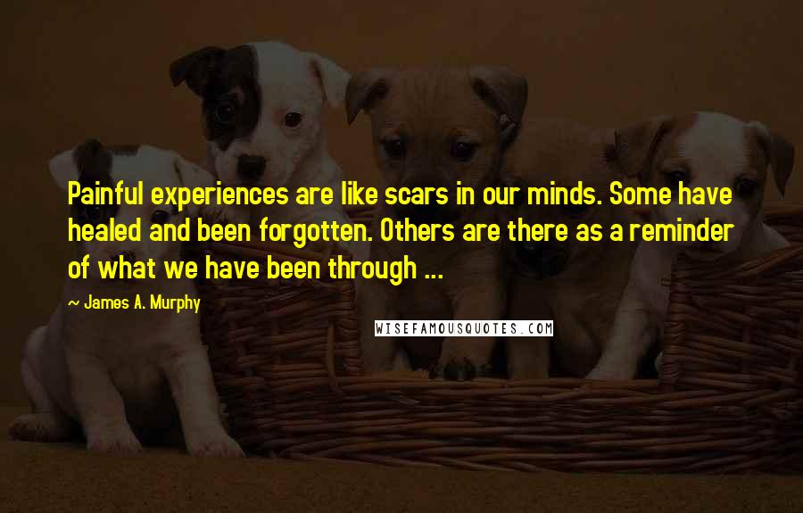 James A. Murphy Quotes: Painful experiences are like scars in our minds. Some have healed and been forgotten. Others are there as a reminder of what we have been through ...