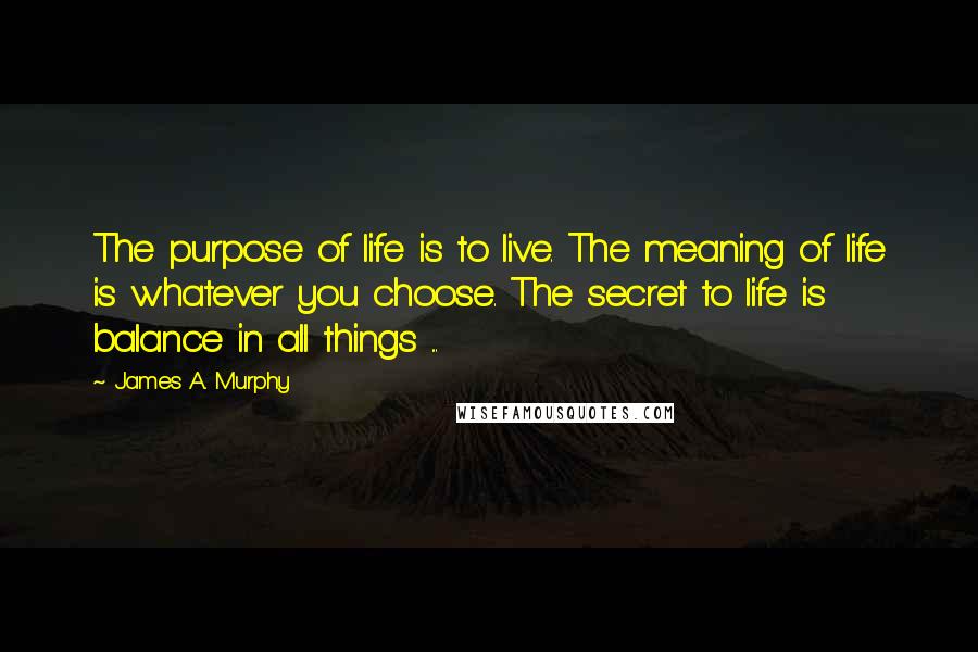 James A. Murphy Quotes: The purpose of life is to live. The meaning of life is whatever you choose. The secret to life is balance in all things ...