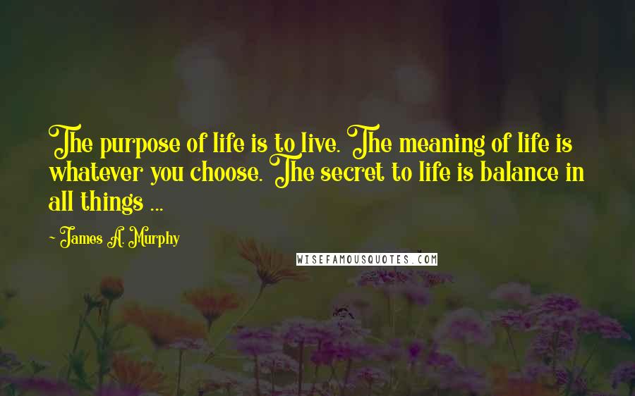 James A. Murphy Quotes: The purpose of life is to live. The meaning of life is whatever you choose. The secret to life is balance in all things ...