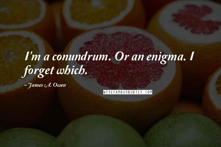 James A. Owen Quotes: I'm a conundrum. Or an enigma. I forget which.
