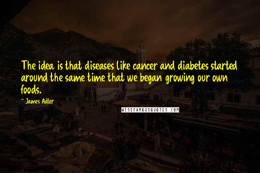 James Adler Quotes: The idea is that diseases like cancer and diabetes started around the same time that we began growing our own foods.