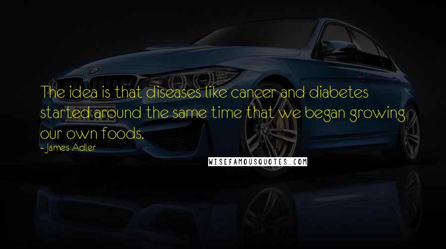 James Adler Quotes: The idea is that diseases like cancer and diabetes started around the same time that we began growing our own foods.