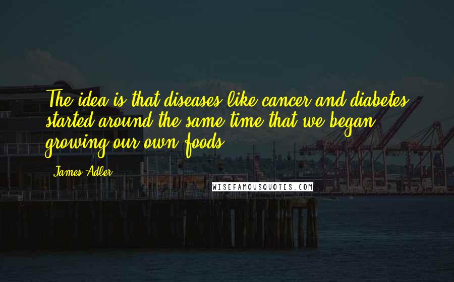 James Adler Quotes: The idea is that diseases like cancer and diabetes started around the same time that we began growing our own foods.