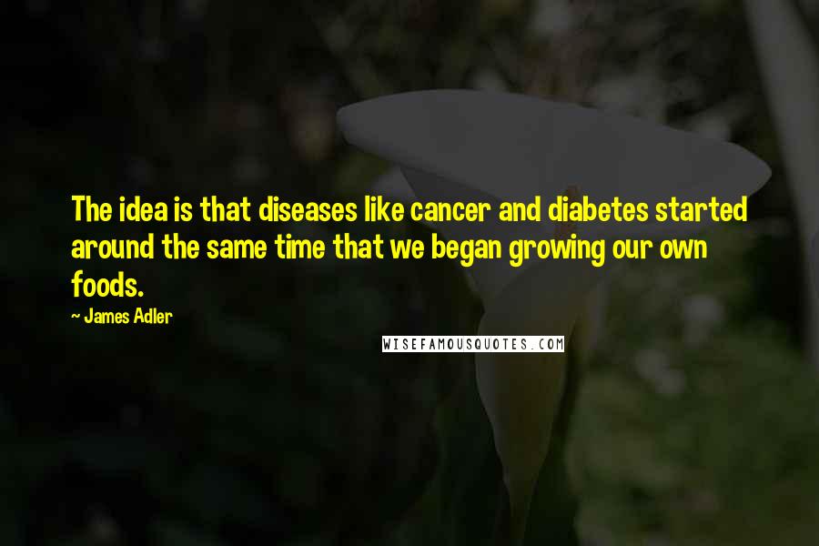 James Adler Quotes: The idea is that diseases like cancer and diabetes started around the same time that we began growing our own foods.