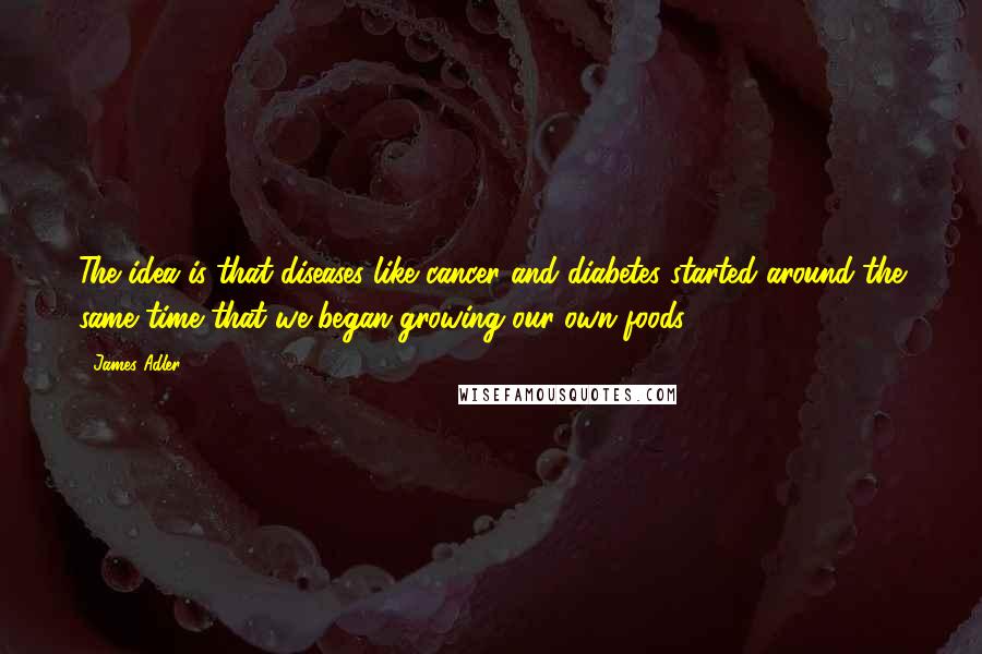 James Adler Quotes: The idea is that diseases like cancer and diabetes started around the same time that we began growing our own foods.