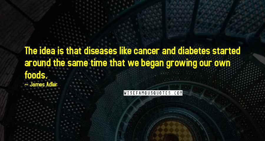 James Adler Quotes: The idea is that diseases like cancer and diabetes started around the same time that we began growing our own foods.