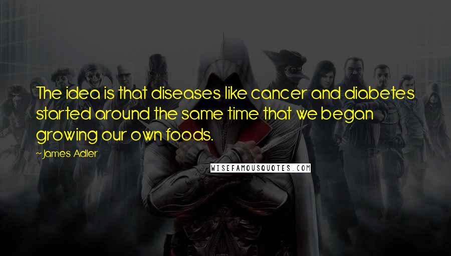 James Adler Quotes: The idea is that diseases like cancer and diabetes started around the same time that we began growing our own foods.