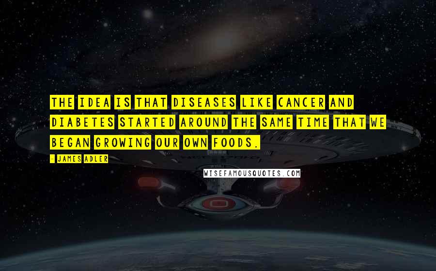 James Adler Quotes: The idea is that diseases like cancer and diabetes started around the same time that we began growing our own foods.