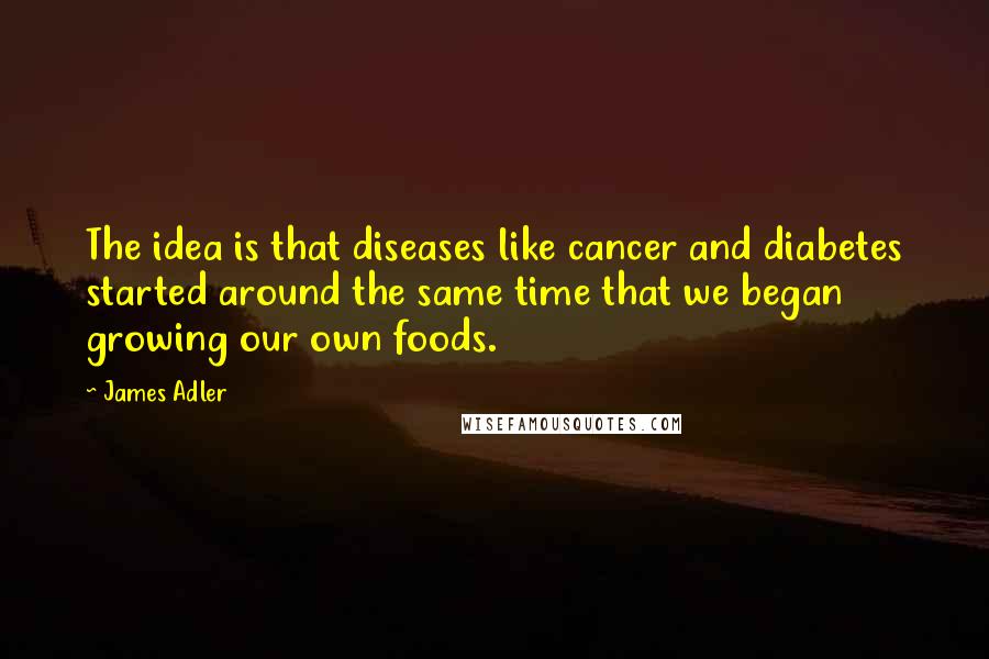 James Adler Quotes: The idea is that diseases like cancer and diabetes started around the same time that we began growing our own foods.