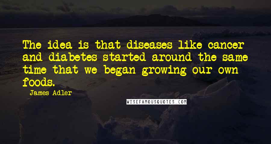 James Adler Quotes: The idea is that diseases like cancer and diabetes started around the same time that we began growing our own foods.
