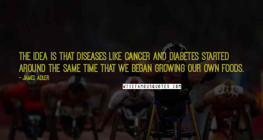 James Adler Quotes: The idea is that diseases like cancer and diabetes started around the same time that we began growing our own foods.