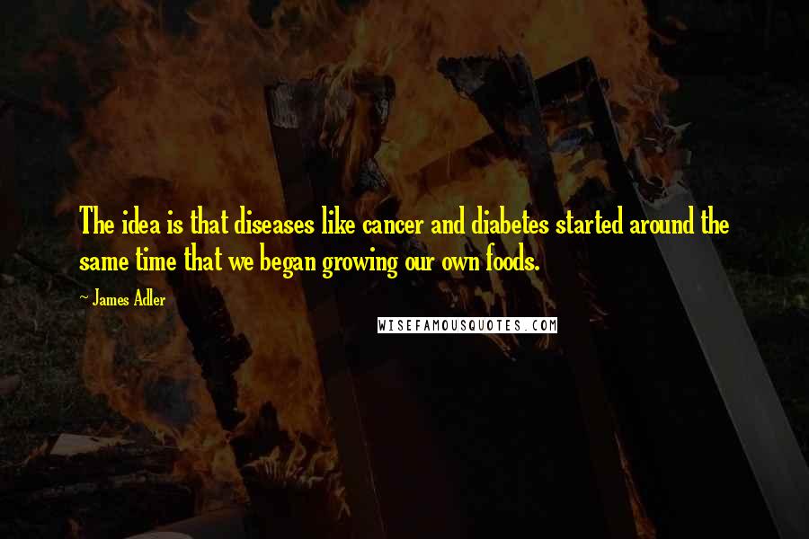 James Adler Quotes: The idea is that diseases like cancer and diabetes started around the same time that we began growing our own foods.