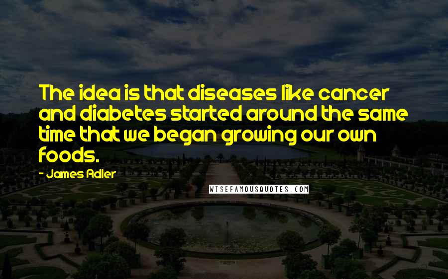 James Adler Quotes: The idea is that diseases like cancer and diabetes started around the same time that we began growing our own foods.