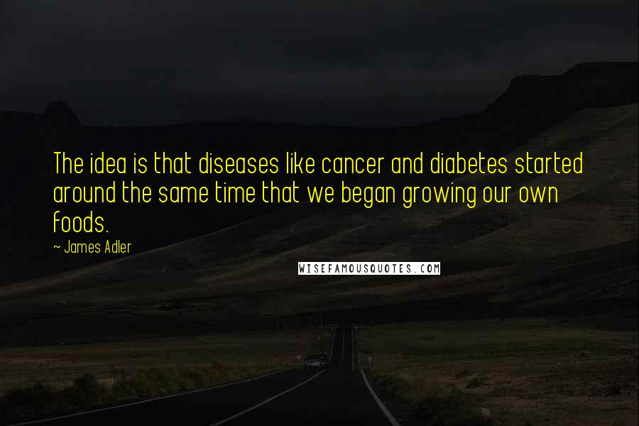 James Adler Quotes: The idea is that diseases like cancer and diabetes started around the same time that we began growing our own foods.