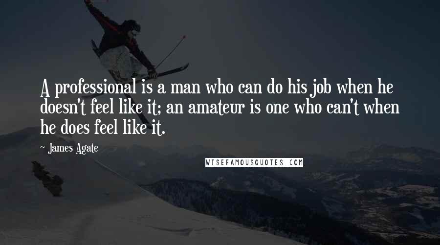 James Agate Quotes: A professional is a man who can do his job when he doesn't feel like it; an amateur is one who can't when he does feel like it.