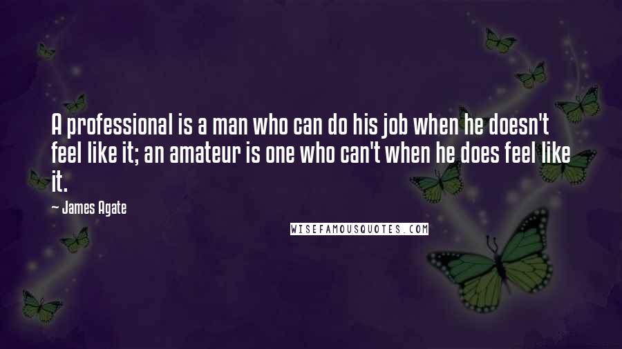 James Agate Quotes: A professional is a man who can do his job when he doesn't feel like it; an amateur is one who can't when he does feel like it.